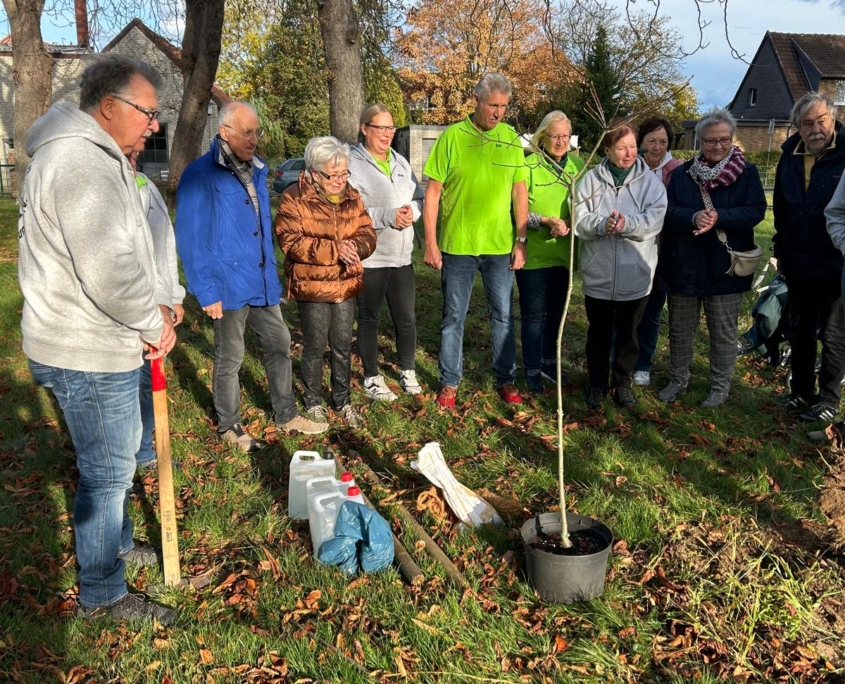 Wanderverein-Baumpflanzen-2025_2