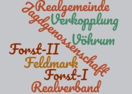 wordcloud-Realgemeinde-3
